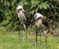 wildpark frankenhof 2019 wildpark frankenhof 2019