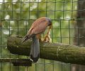 wildpark frankenhof 2019 wildpark frankenhof 2019