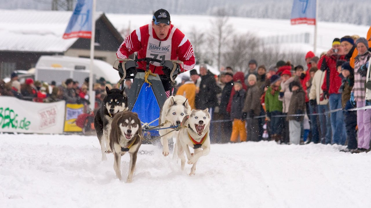 winterberg-schlittenhunderennen-2010-003