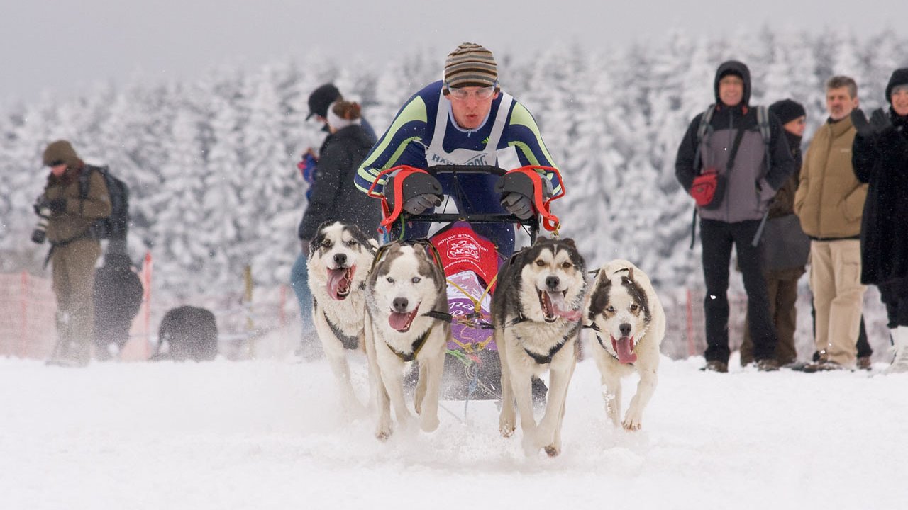 winterberg-schlittenhunderennen-2010-008