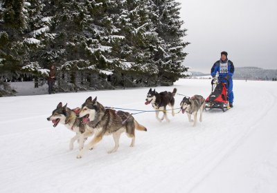 Winterberg