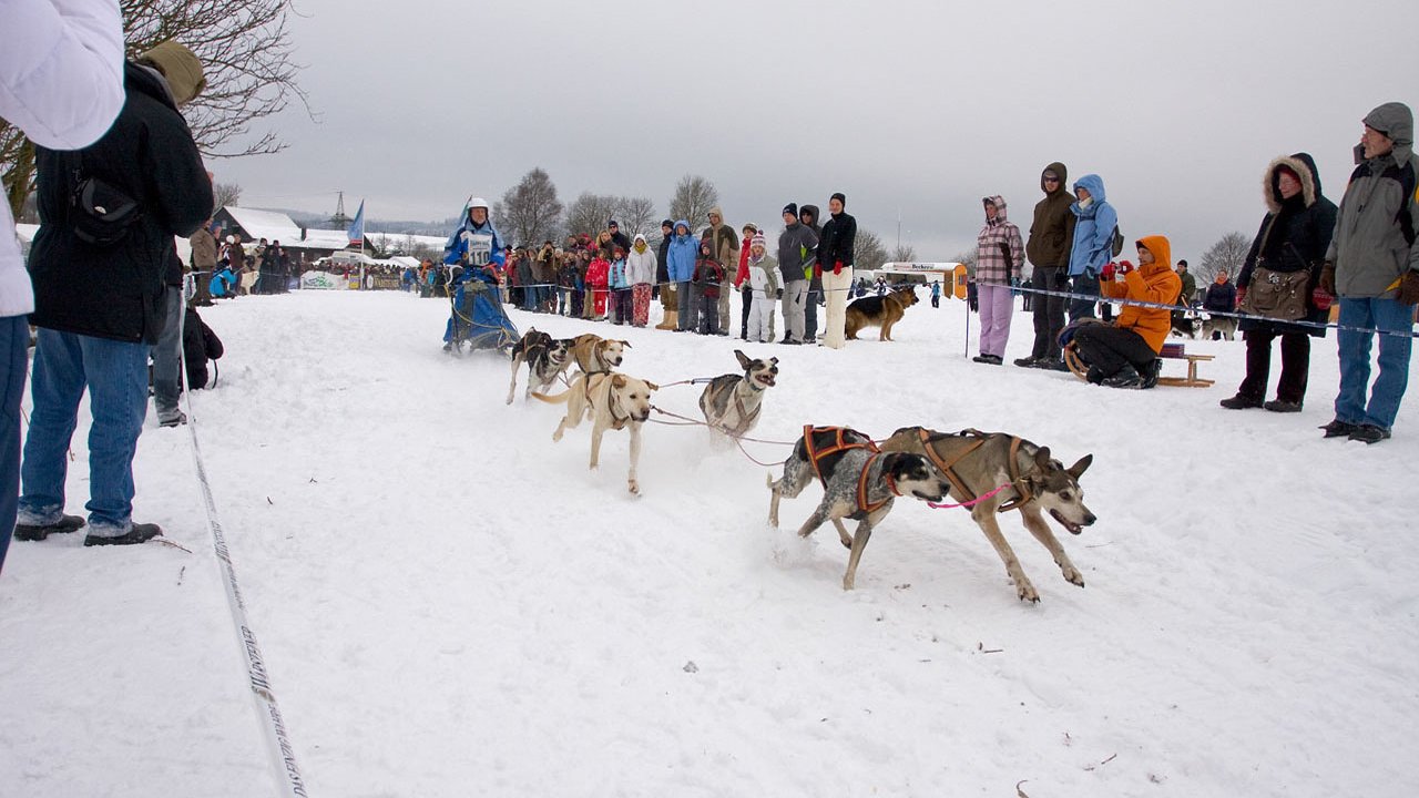 winterberg-schlittenhunderennen-2010-013