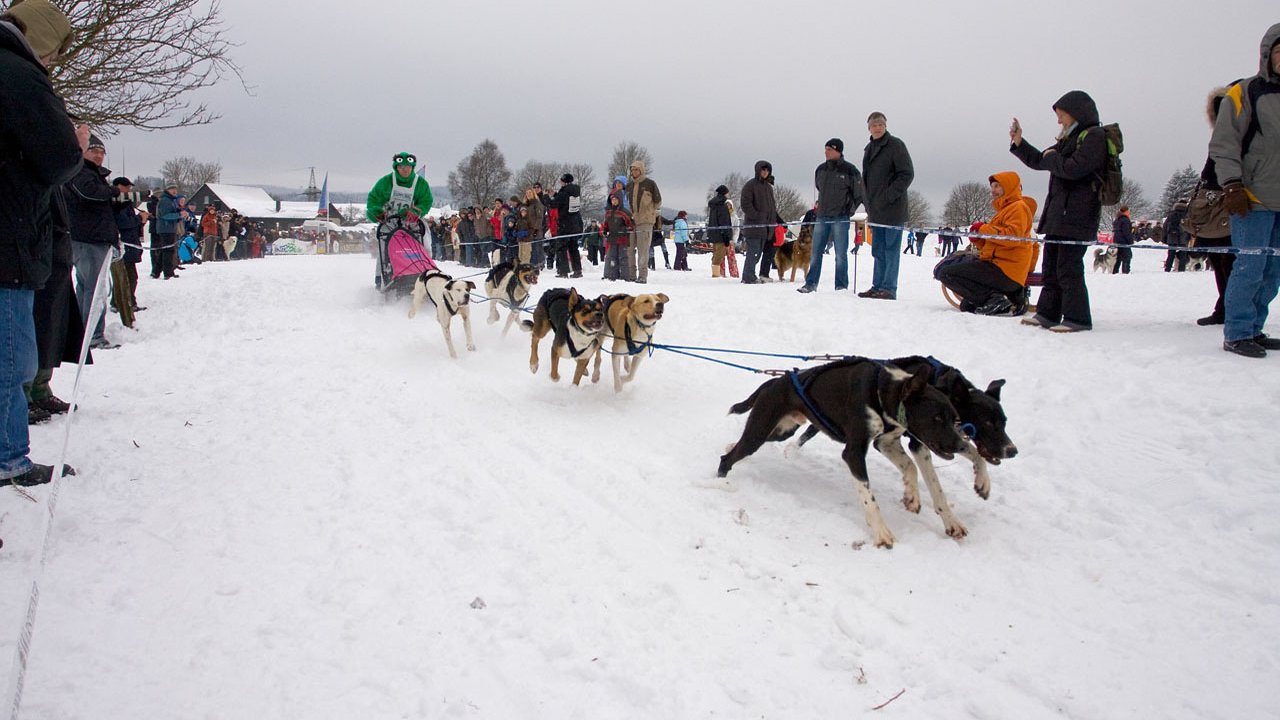 winterberg-schlittenhunderennen-2010-014