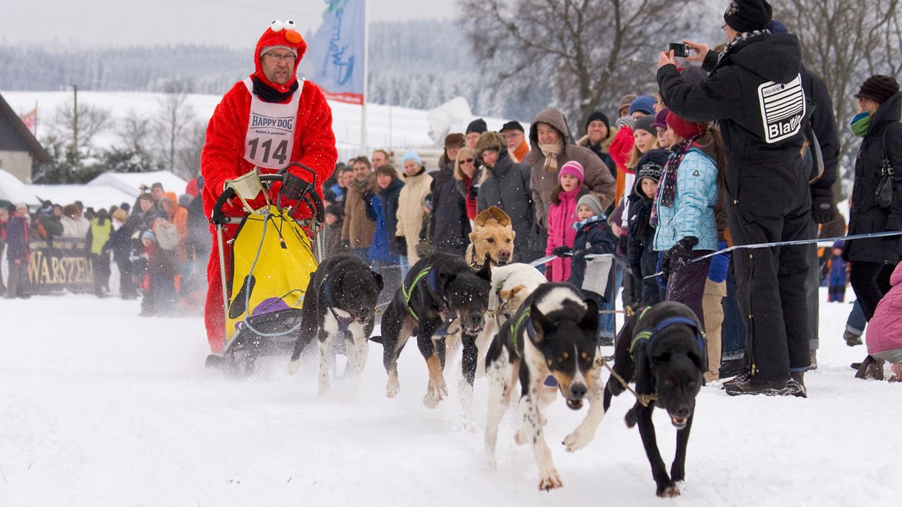 winterberg-schlittenhunderennen-2010-015