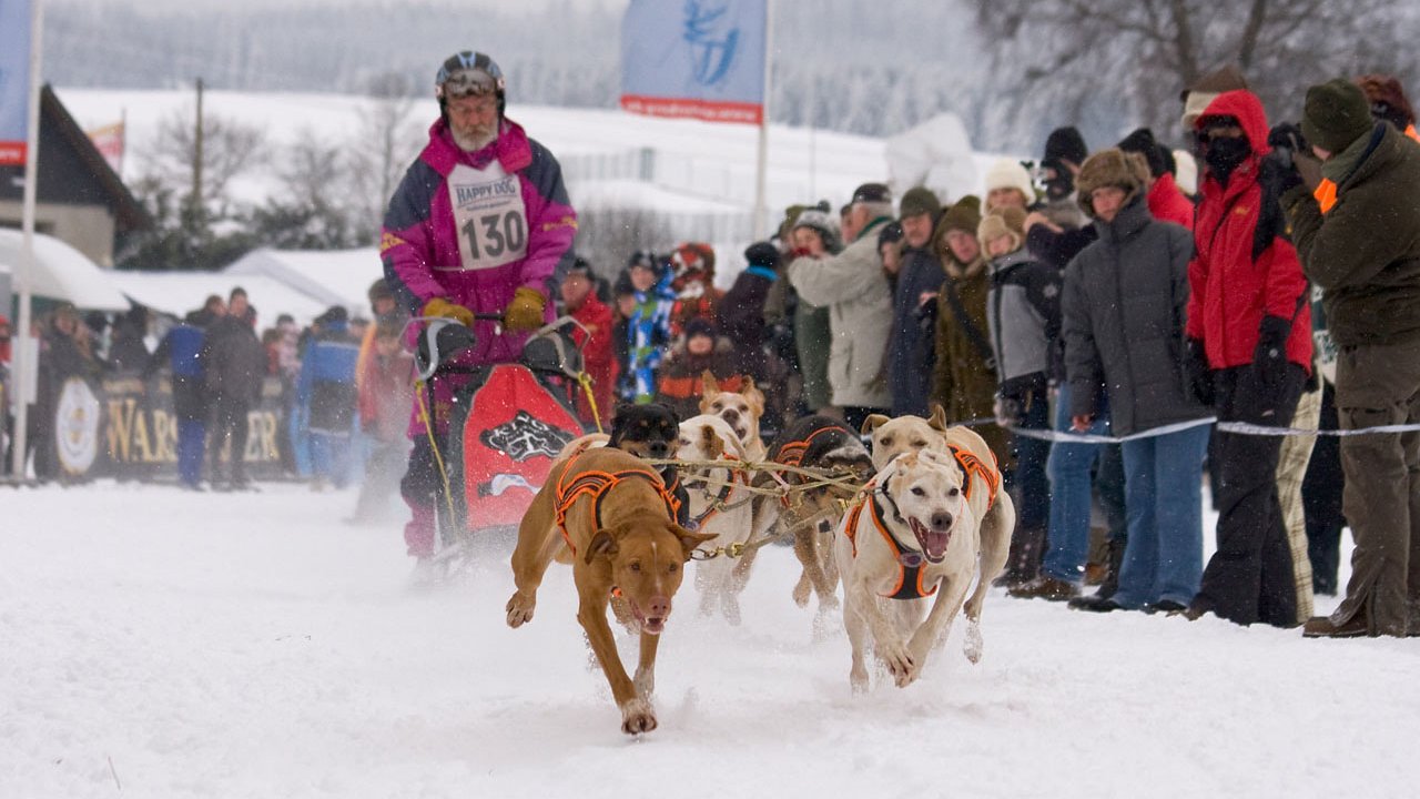 winterberg-schlittenhunderennen-2010-018