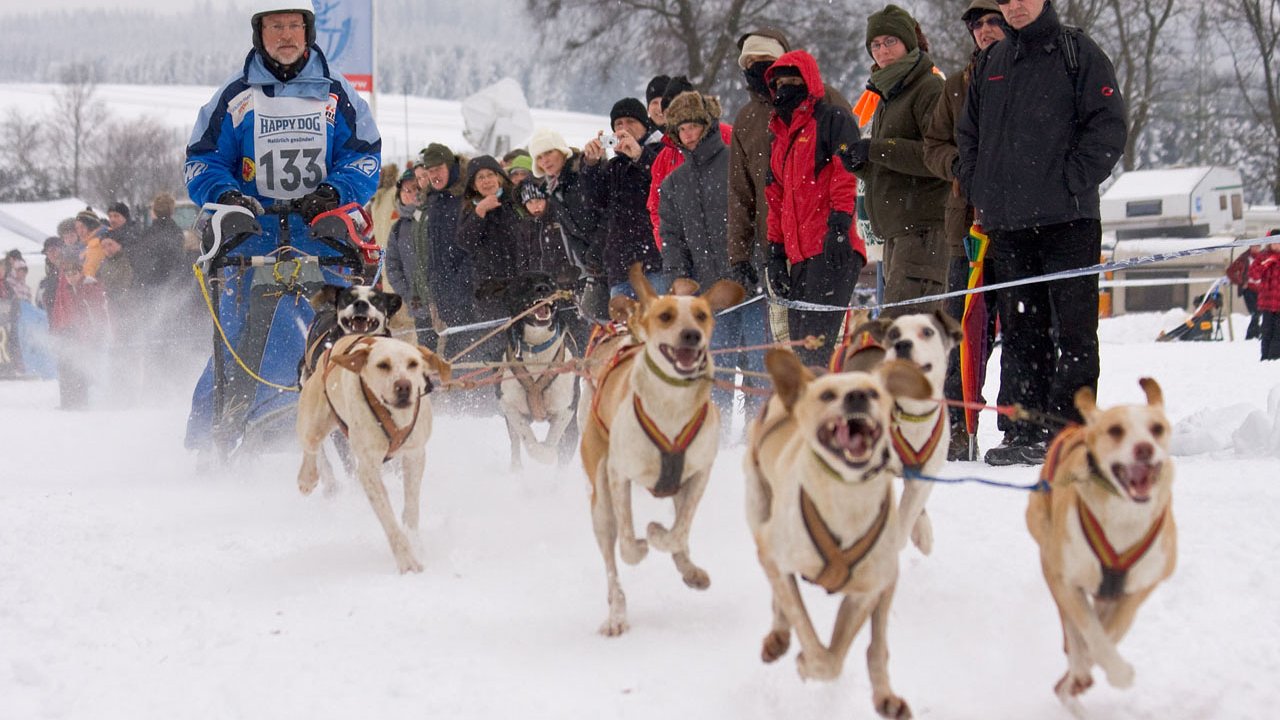 winterberg-schlittenhunderennen-2010-019