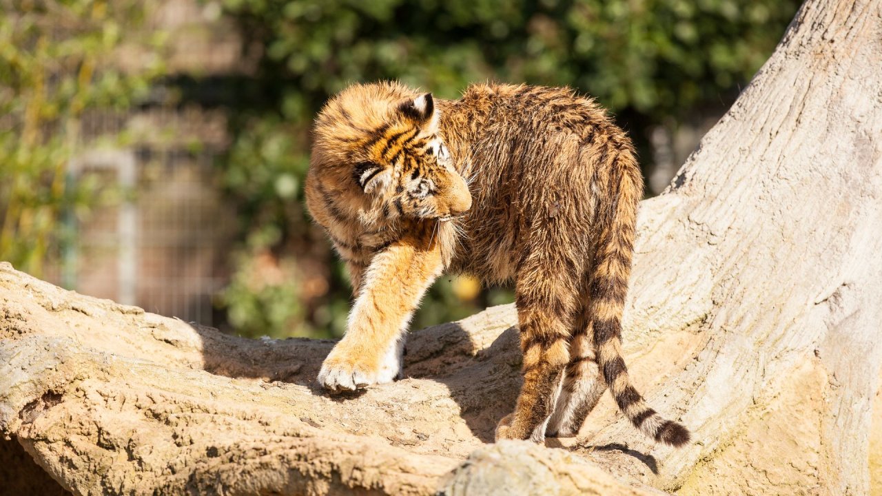 Zoo Duisburg-2017-001