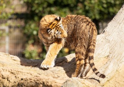 Zoo Duisburg 2017