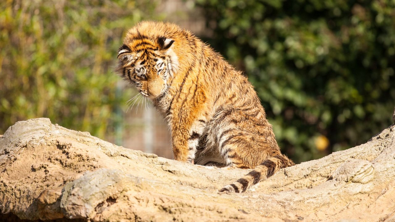 Zoo Duisburg-2017-002