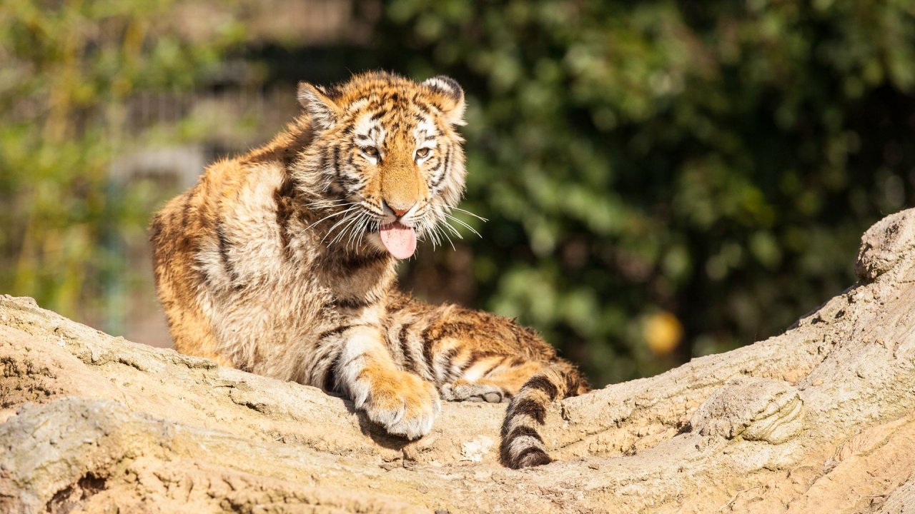 Zoo Duisburg-2017-003