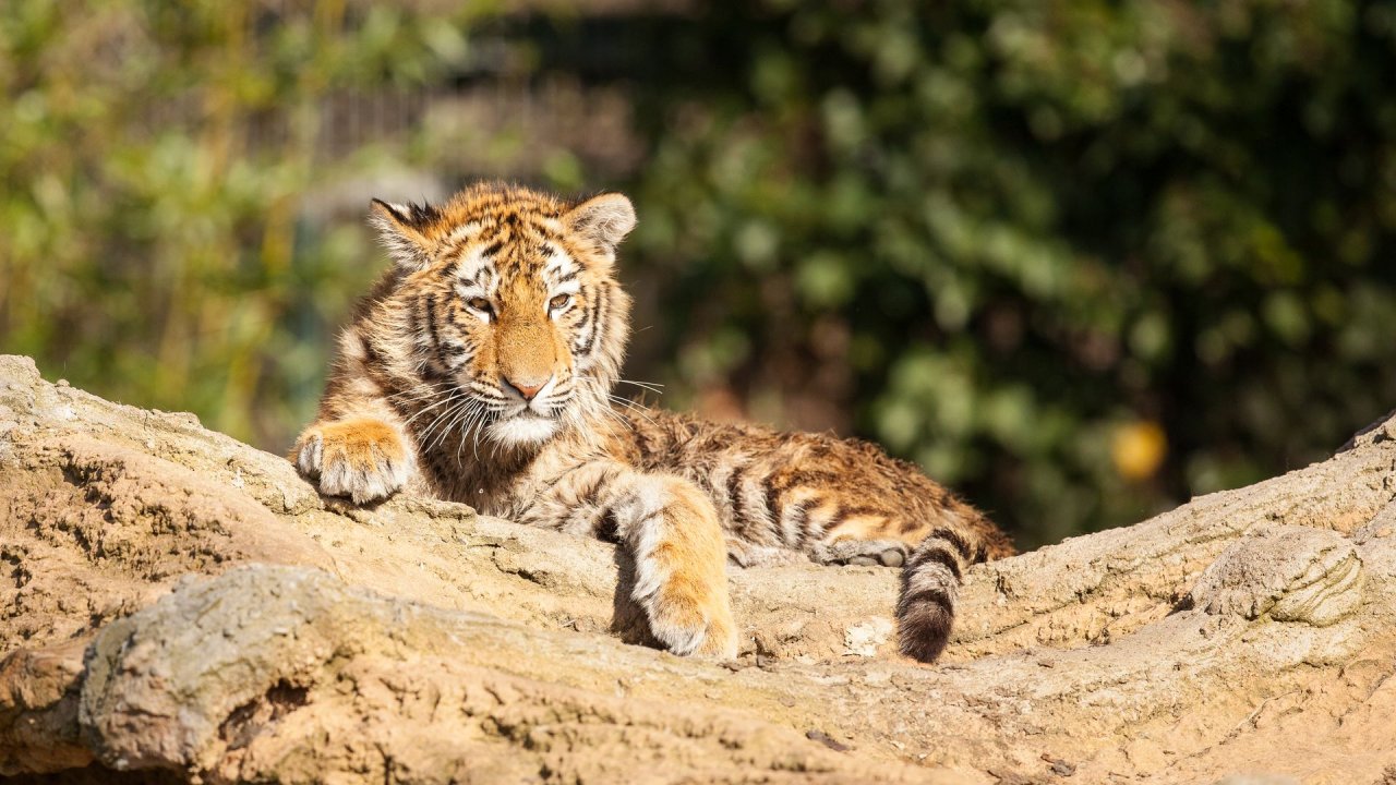 Zoo Duisburg-2017-004