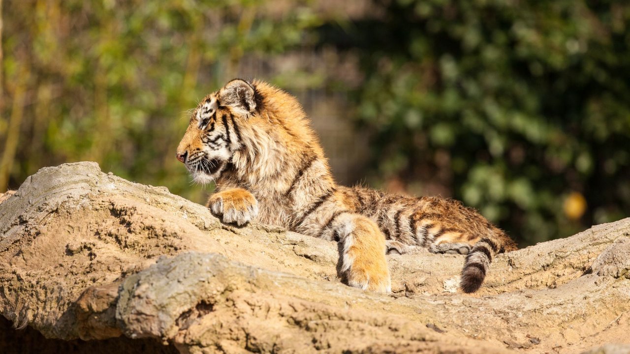 Zoo Duisburg-2017-005