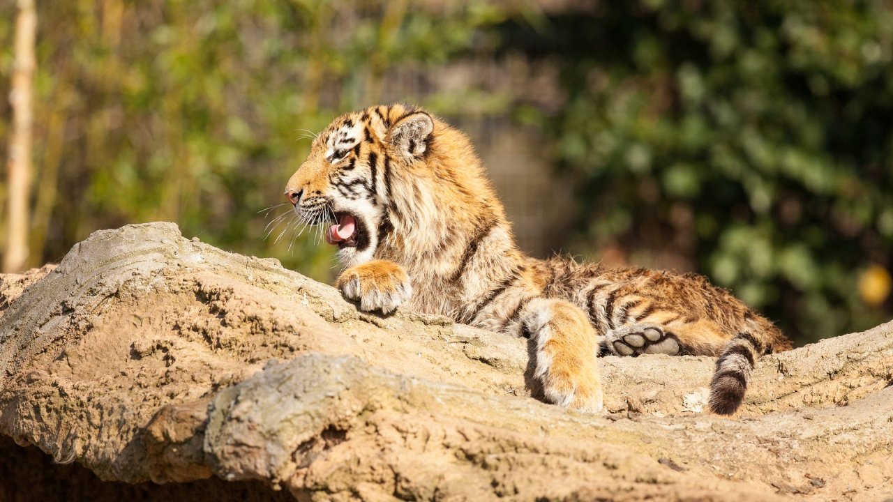 Zoo Duisburg-2017-006