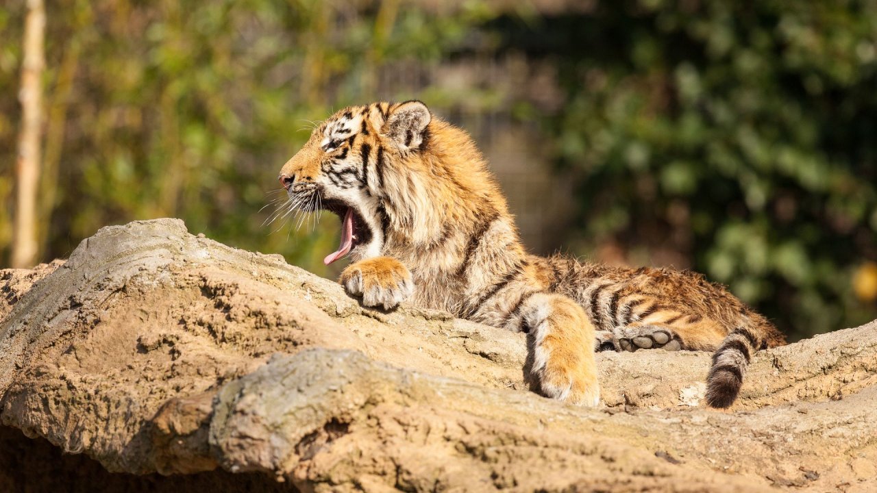 Zoo Duisburg-2017-007
