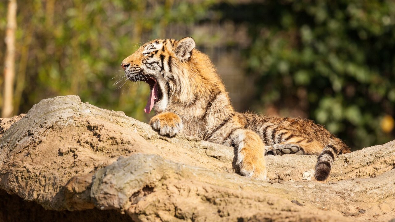 Zoo Duisburg-2017-009