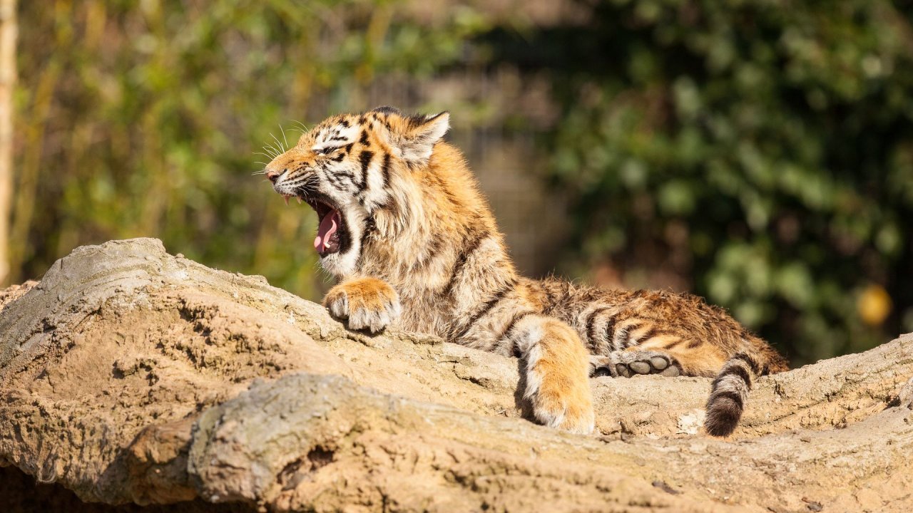 Zoo Duisburg-2017-010