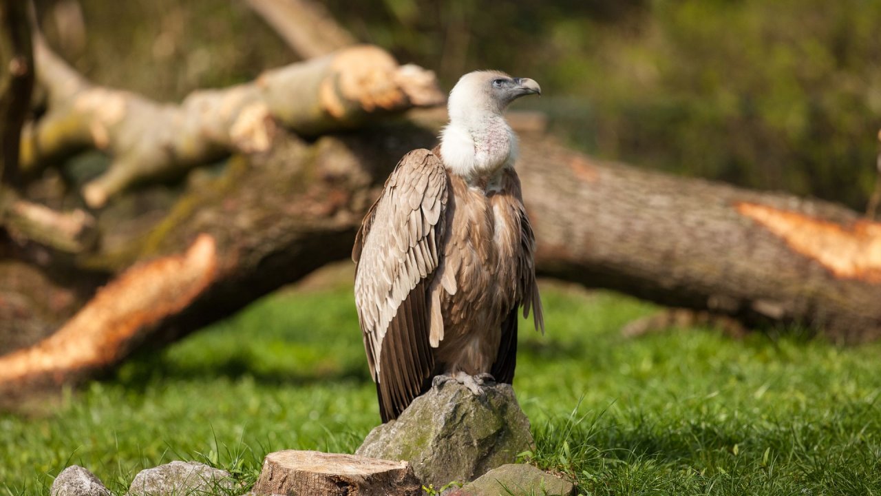 Zoo Duisburg-2017-014