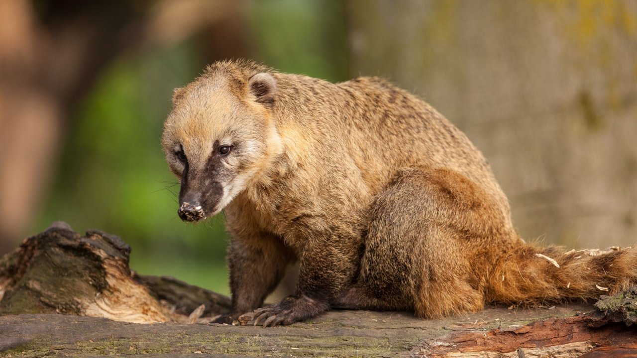 Zoo Duisburg-2017-015