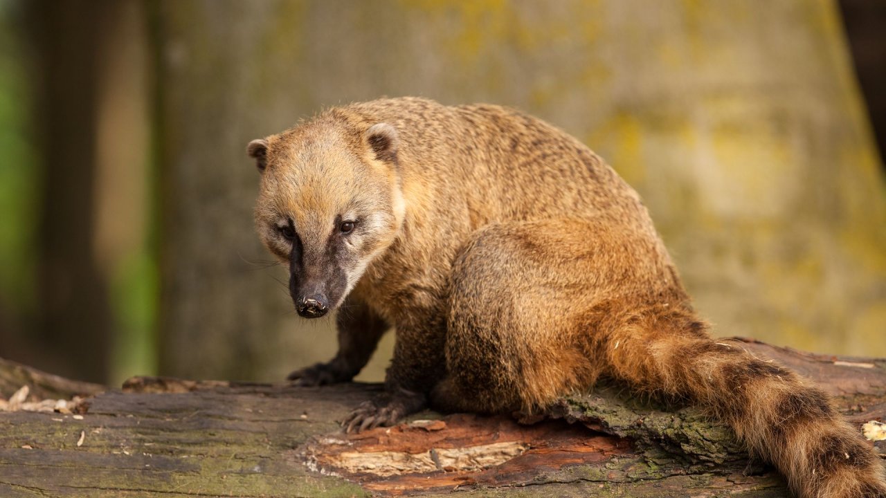 Zoo Duisburg-2017-017