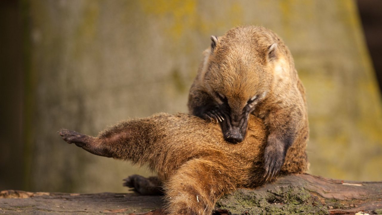 Zoo Duisburg-2017-018