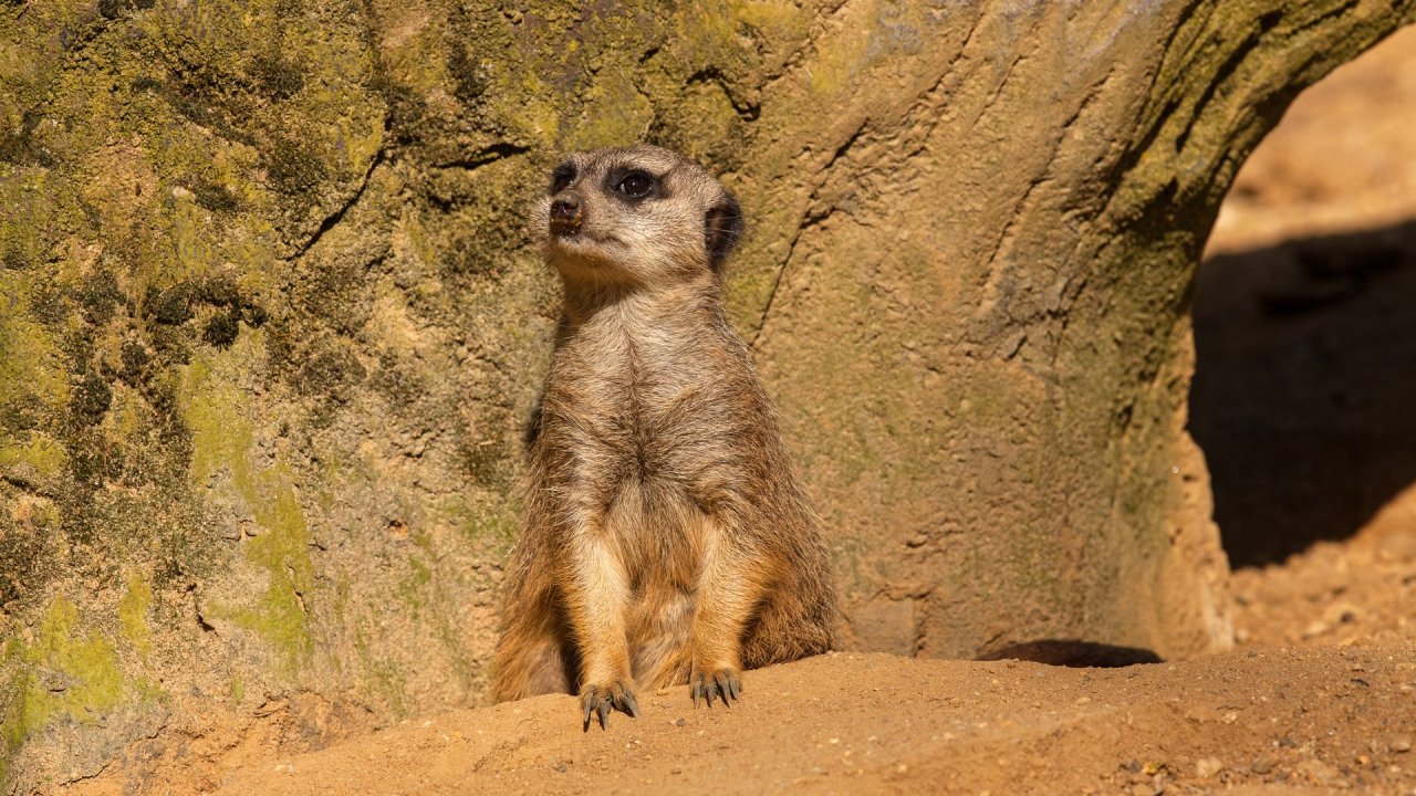 Zoo Duisburg-2017-019