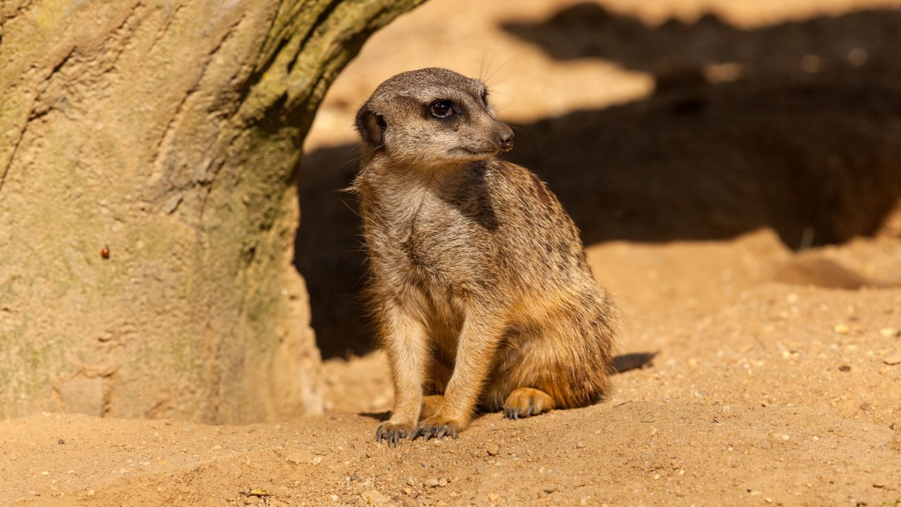 Zoo Duisburg-2017-020