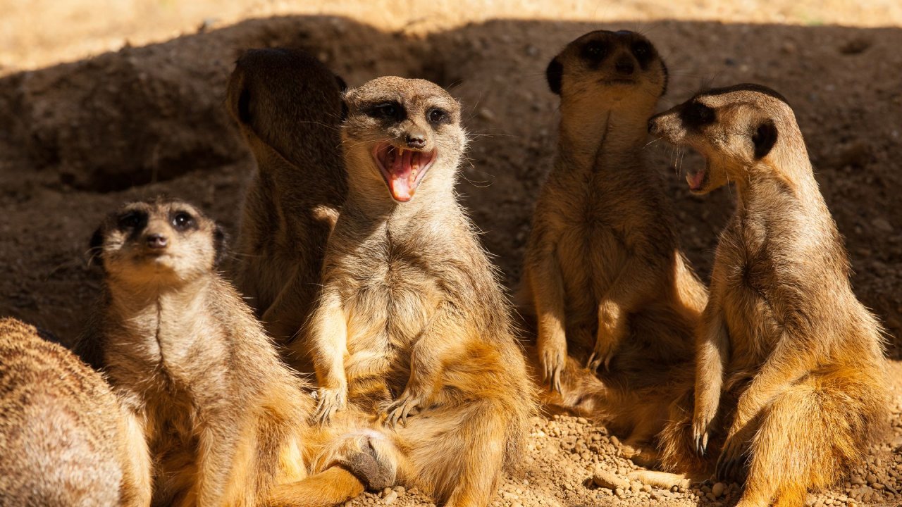 Zoo Duisburg-2017-021