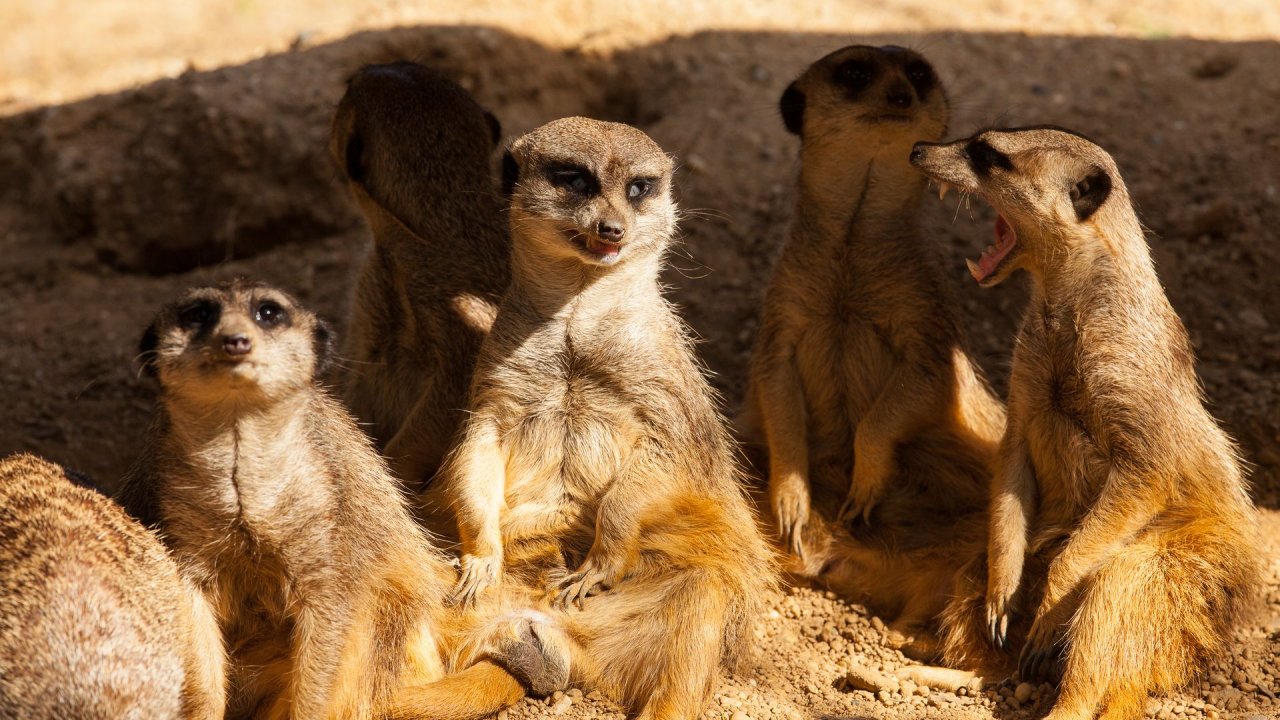 Zoo Duisburg-2017-022