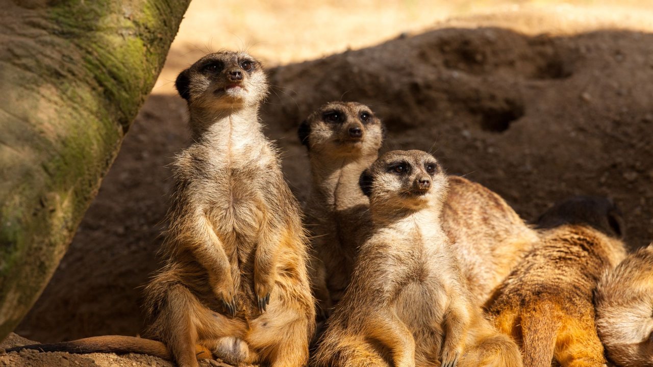 Zoo Duisburg-2017-023