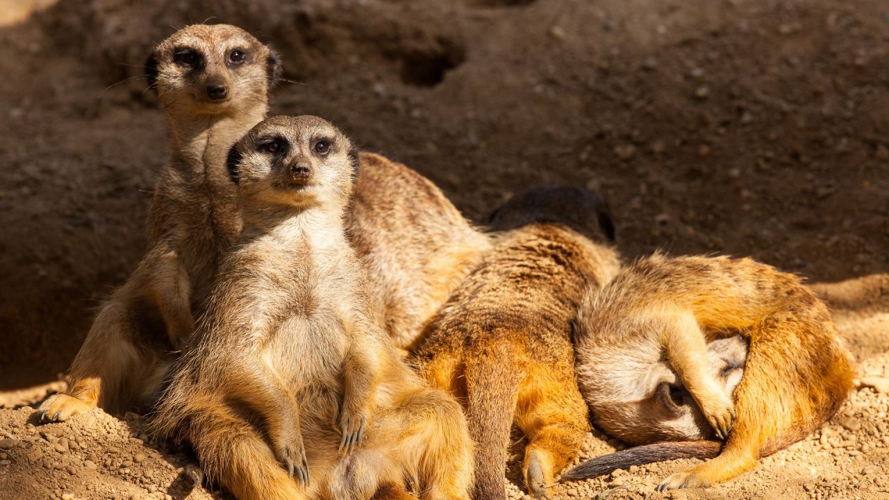 Zoo Duisburg-2017-024