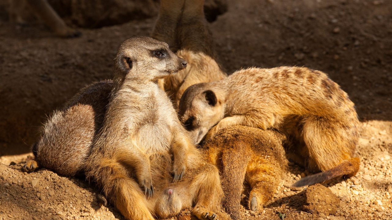 Zoo Duisburg-2017-025