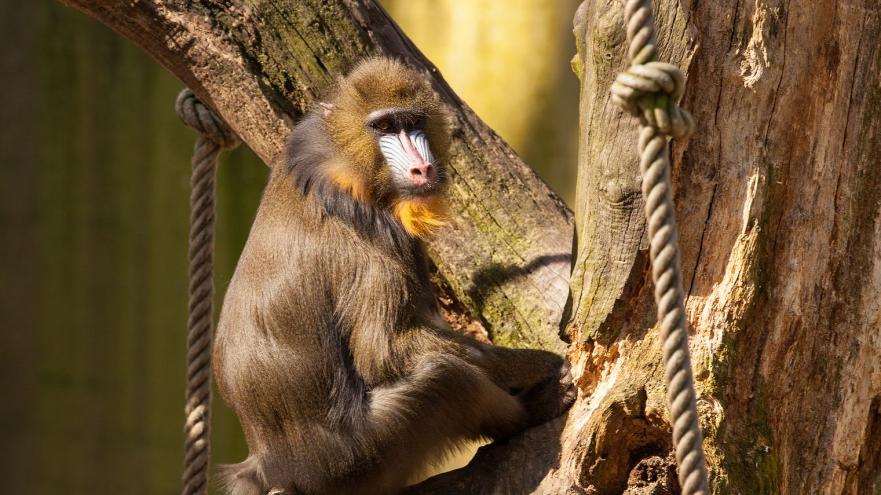 Zoo Duisburg-2017-029
