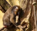 Zoo Duisburg-2017-030