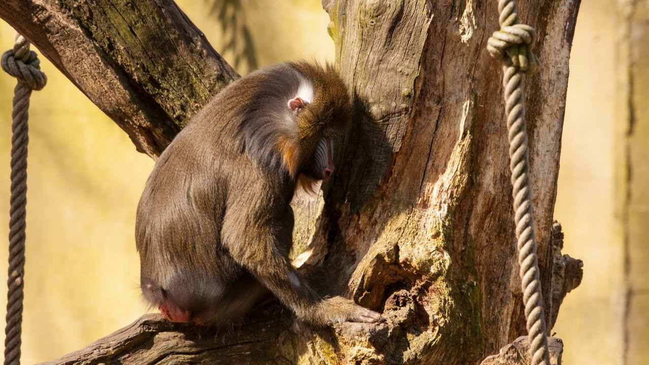 Zoo Duisburg-2017-030
