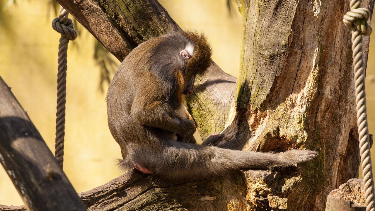 Zoo Duisburg-2017-031