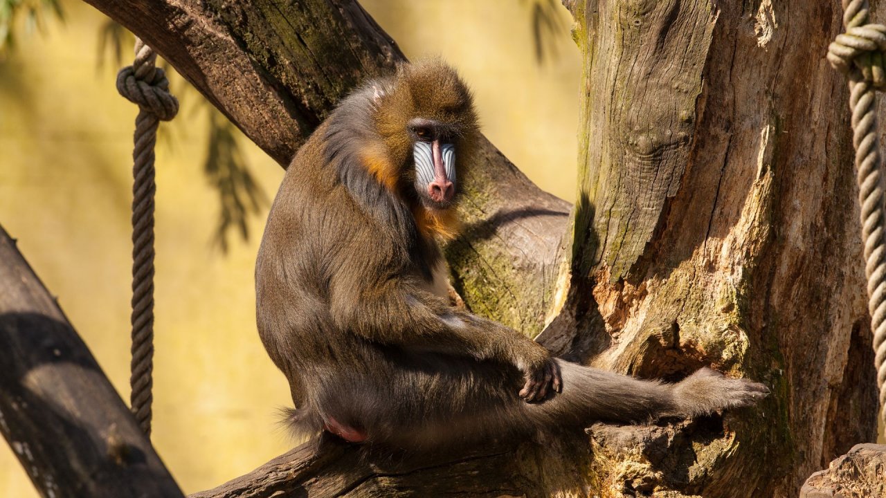 Zoo Duisburg-2017-032