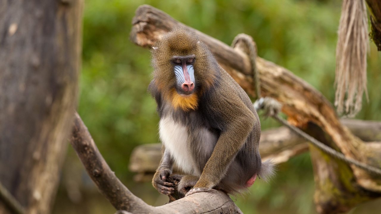 Zoo Duisburg-2017-033