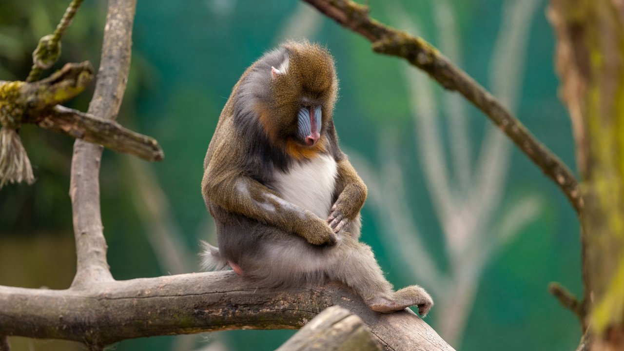 Zoo Duisburg-2017-034