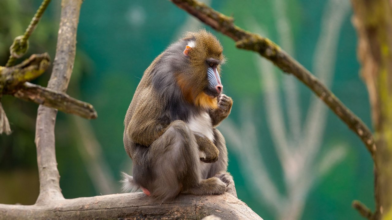 Zoo Duisburg-2017-035