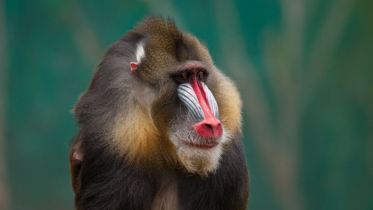 Zoo Duisburg-2017-036