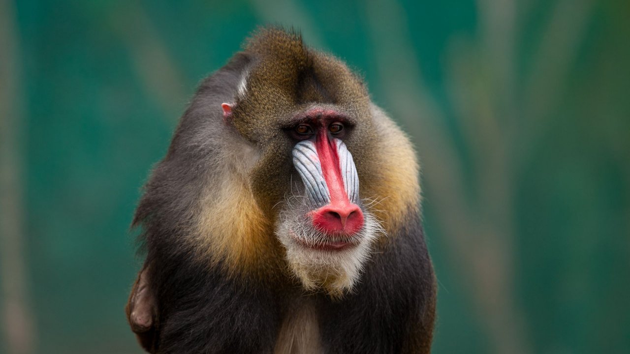 Zoo Duisburg-2017-037