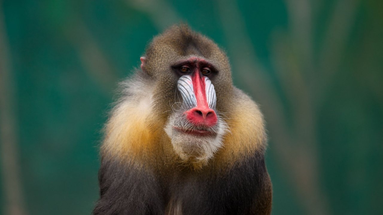 Zoo Duisburg-2017-038