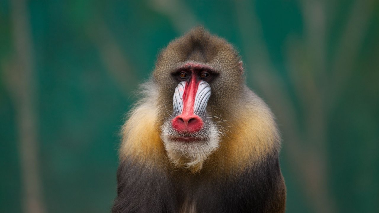 Zoo Duisburg-2017-039