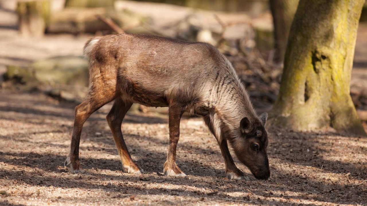 Zoo Duisburg-2017-040