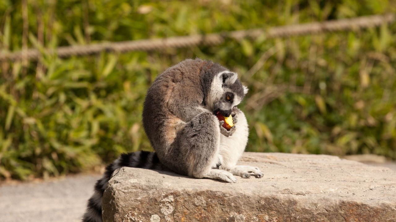 Zoo Duisburg-2017-044