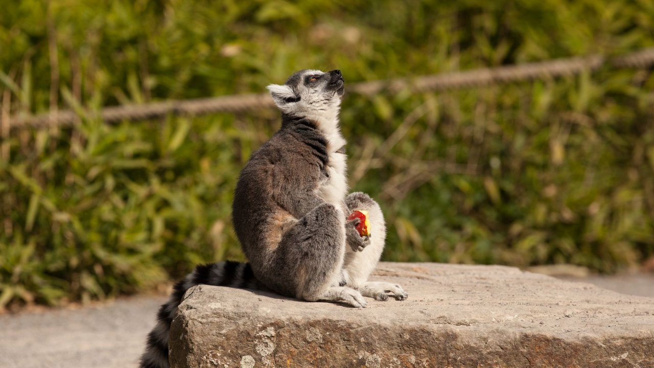 Zoo Duisburg-2017-045