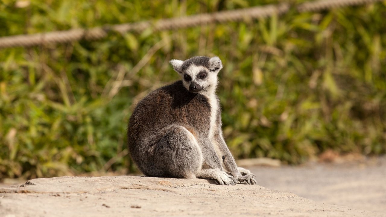 Zoo Duisburg-2017-046