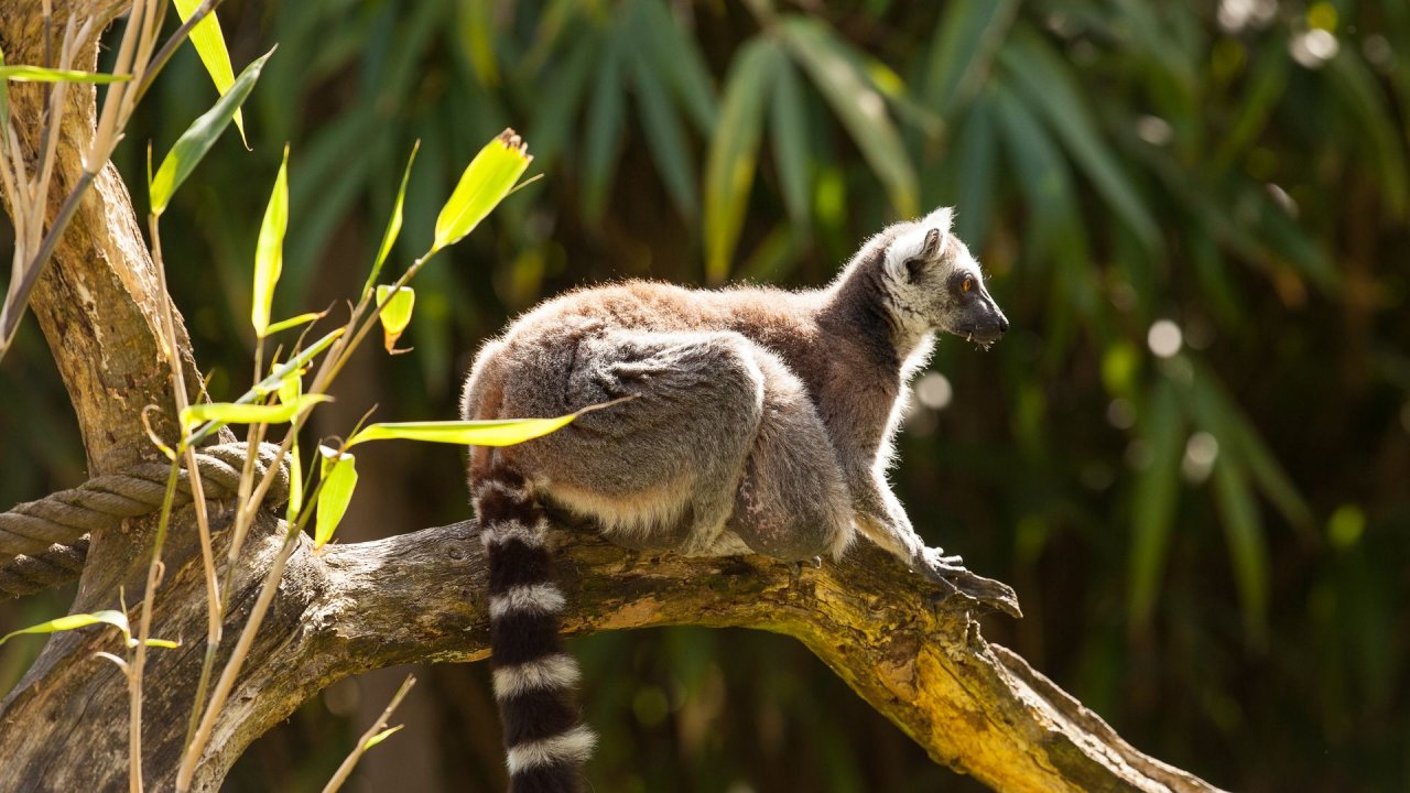 Zoo Duisburg-2017-047