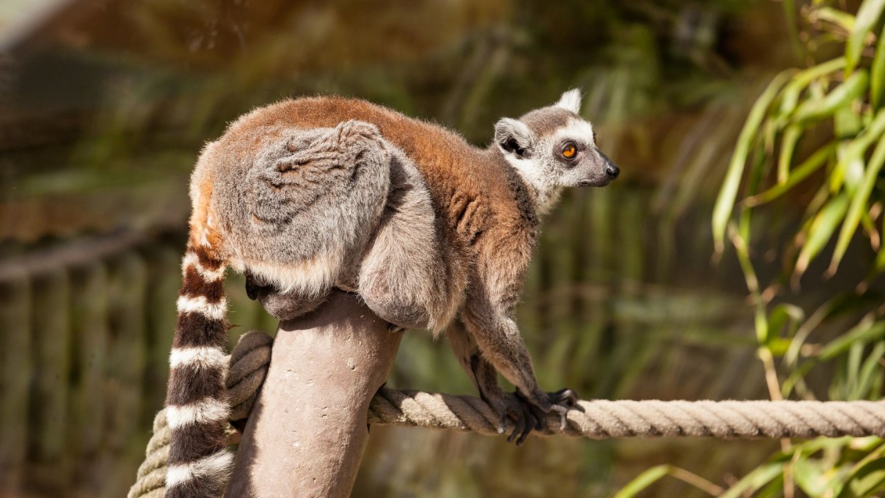 Zoo Duisburg-2017-048