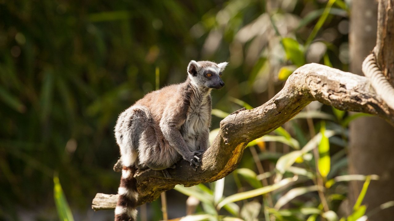 Zoo Duisburg-2017-049